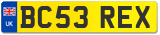 BC53 REX