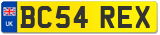 BC54 REX