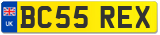 BC55 REX