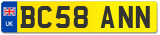 BC58 ANN