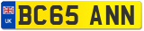 BC65 ANN