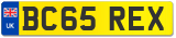 BC65 REX