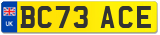 BC73 ACE