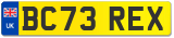 BC73 REX