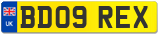 BD09 REX