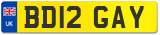 BD12 GAY