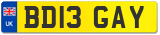 BD13 GAY