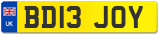 BD13 JOY