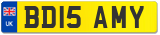 BD15 AMY