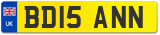 BD15 ANN