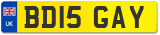 BD15 GAY