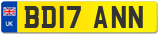 BD17 ANN