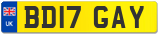 BD17 GAY