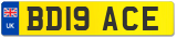 BD19 ACE