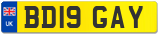 BD19 GAY