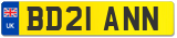 BD21 ANN