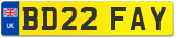 BD22 FAY