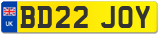 BD22 JOY