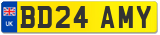BD24 AMY