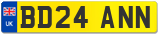 BD24 ANN
