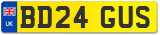 BD24 GUS