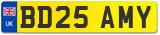 BD25 AMY
