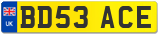 BD53 ACE