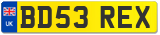 BD53 REX