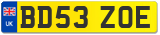 BD53 ZOE