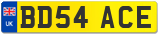 BD54 ACE