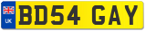 BD54 GAY