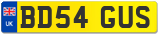 BD54 GUS