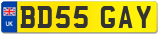 BD55 GAY