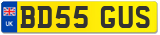 BD55 GUS