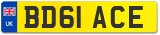 BD61 ACE