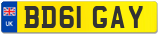 BD61 GAY