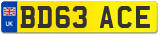 BD63 ACE