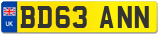 BD63 ANN