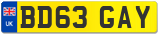 BD63 GAY