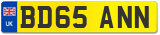 BD65 ANN