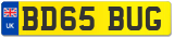 BD65 BUG