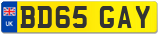 BD65 GAY