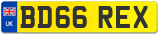 BD66 REX