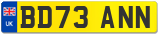 BD73 ANN