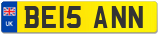BE15 ANN