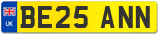 BE25 ANN