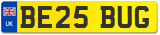 BE25 BUG