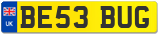 BE53 BUG