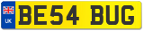 BE54 BUG