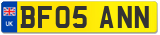 BF05 ANN